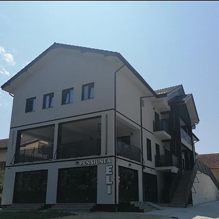Pensiunea Eli Buziaş المظهر الخارجي الصورة