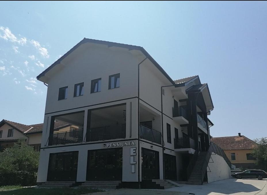Pensiunea Eli Buziaş المظهر الخارجي الصورة